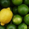 Techlemon