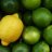 Techlemon